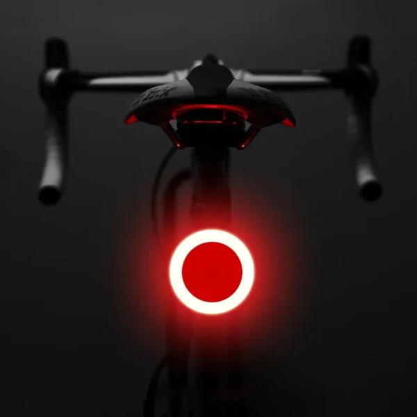 Enhance Your Rides with the Heart-Shaped LED Bike Taillight